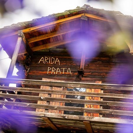 Korn-Stadel Arida Prata "Natur Pur" Grächen Eksteriør bilde